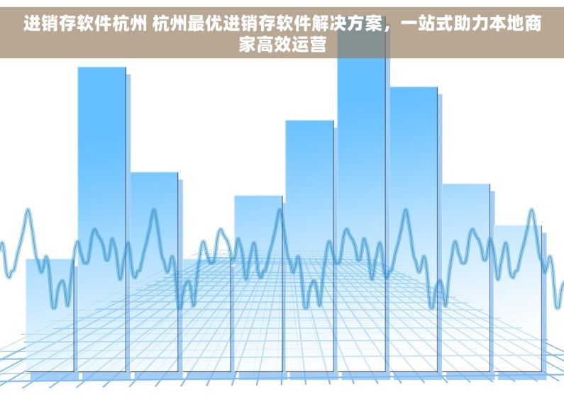 进销存软件杭州 杭州最优进销存软件解决方案，一站式助力本地商家高效运营