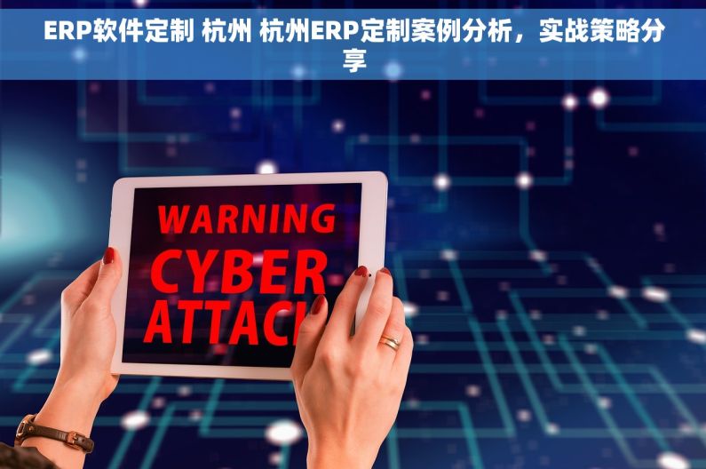 ERP软件定制 杭州 杭州ERP定制案例分析，实战策略分享