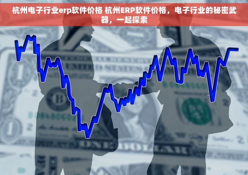 杭州电子行业erp软件价格 杭州ERP软件价格，电子行业的秘密武器，一起探索