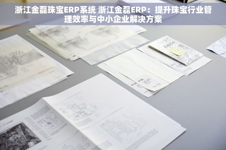 浙江金磊珠宝ERP系统 浙江金磊ERP：提升珠宝行业管理效率与中小企业解决方案