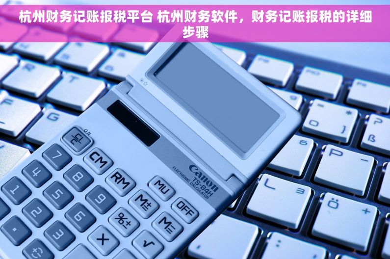 杭州财务记账报税平台 杭州财务软件，财务记账报税的详细步骤