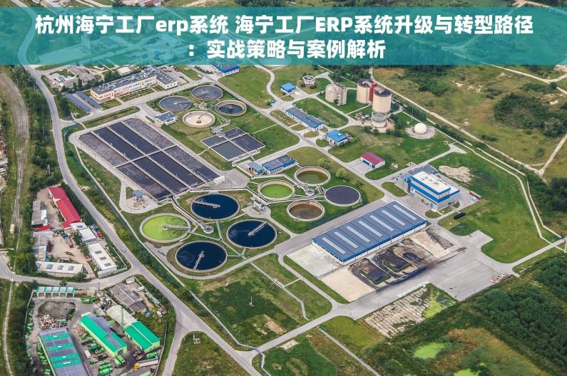 杭州海宁工厂erp系统 海宁工厂ERP系统升级与转型路径：实战策略与案例解析