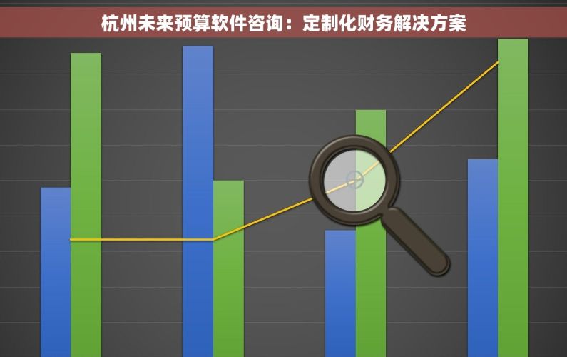 杭州未来预算软件咨询：定制化财务解决方案