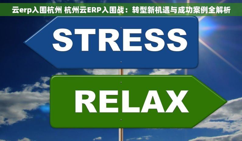 云erp入围杭州 杭州云ERP入围战：转型新机遇与成功案例全解析