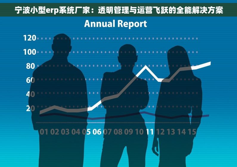 宁波小型erp系统厂家：透明管理与运营飞跃的全能解决方案
