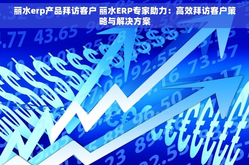 丽水erp产品拜访客户 丽水ERP专家助力：高效拜访客户策略与解决方案