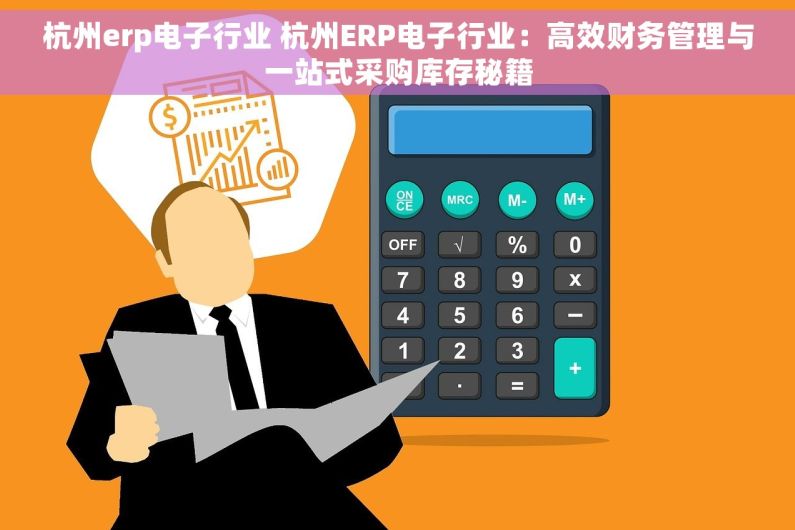 杭州erp电子行业 杭州ERP电子行业：高效财务管理与一站式采购库存秘籍