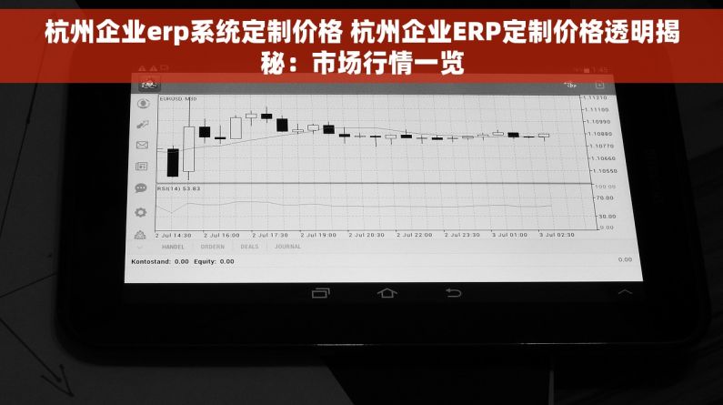 杭州企业erp系统定制价格 杭州企业ERP定制价格透明揭秘：市场行情一览