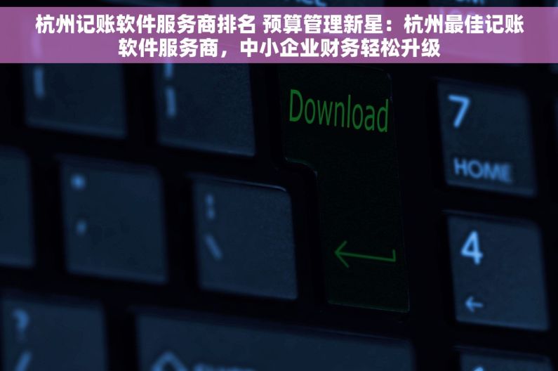 杭州记账软件服务商排名 预算管理新星：杭州最佳记账软件服务商，中小企业财务轻松升级