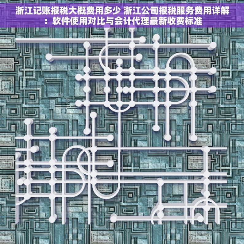 浙江记账报税大概费用多少 浙江公司报税服务费用详解：软件使用对比与会计代理最新收费标准