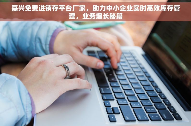 嘉兴免费进销存平台厂家，助力中小企业实时高效库存管理，业务增长秘籍