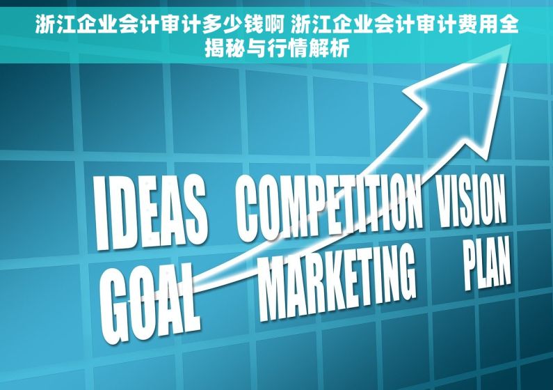 浙江企业会计审计多少钱啊 浙江企业会计审计费用全揭秘与行情解析