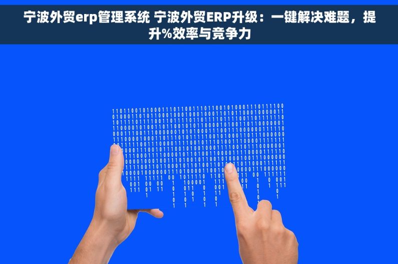 宁波外贸erp管理系统 宁波外贸ERP升级：一键解决难题，提升%效率与竞争力