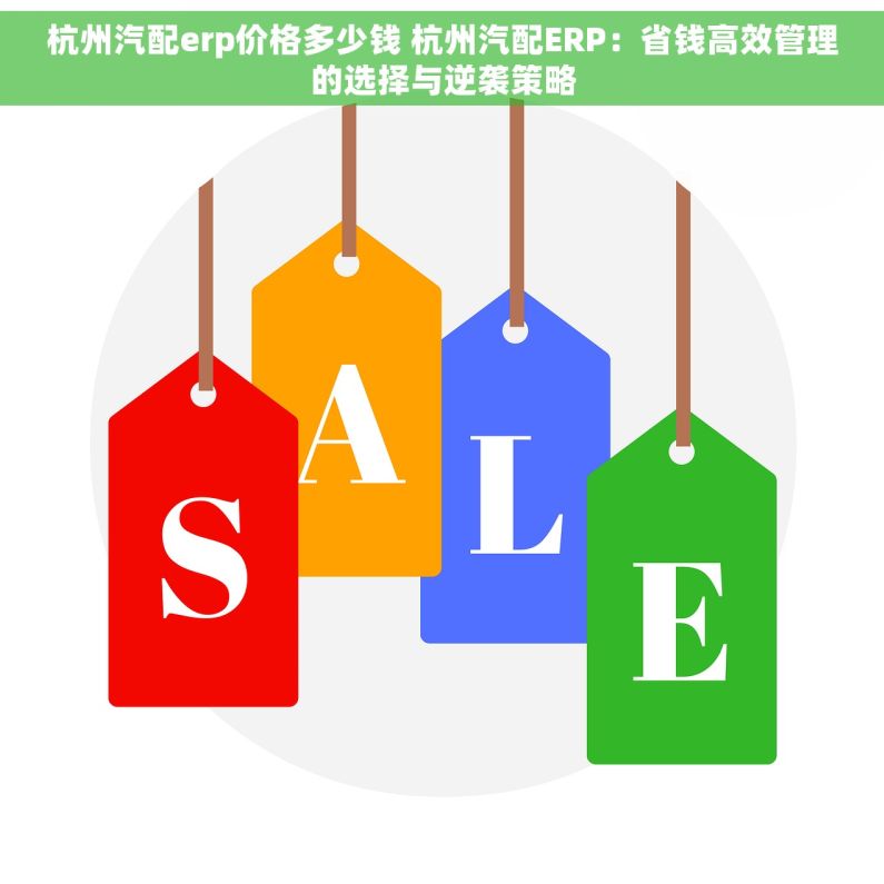 杭州汽配erp价格多少钱 杭州汽配ERP：省钱高效管理的选择与逆袭策略
