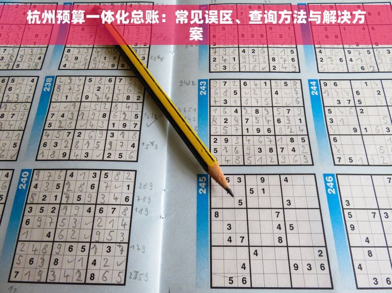 杭州预算一体化总账：常见误区、查询方法与解决方案