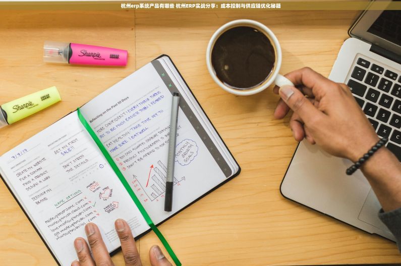 杭州erp系统产品有哪些 杭州ERP实战分享：成本控制与供应链优化秘籍