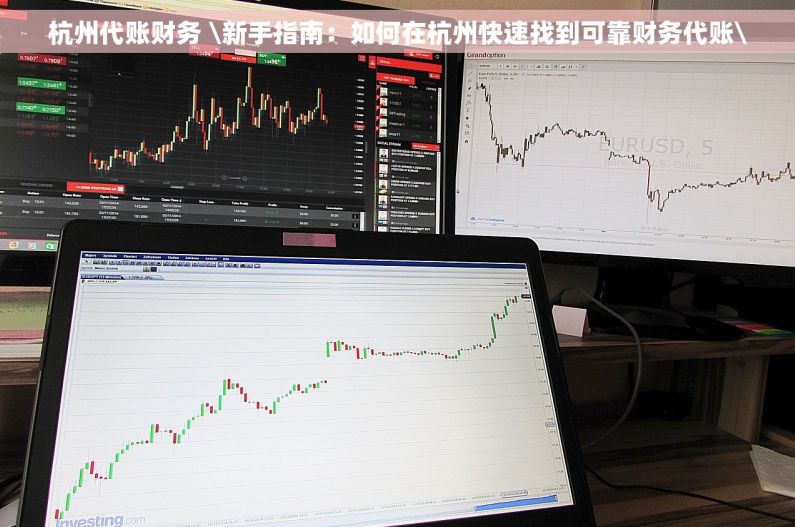 杭州代账财务 \新手指南：如何在杭州快速找到可靠财务代账\