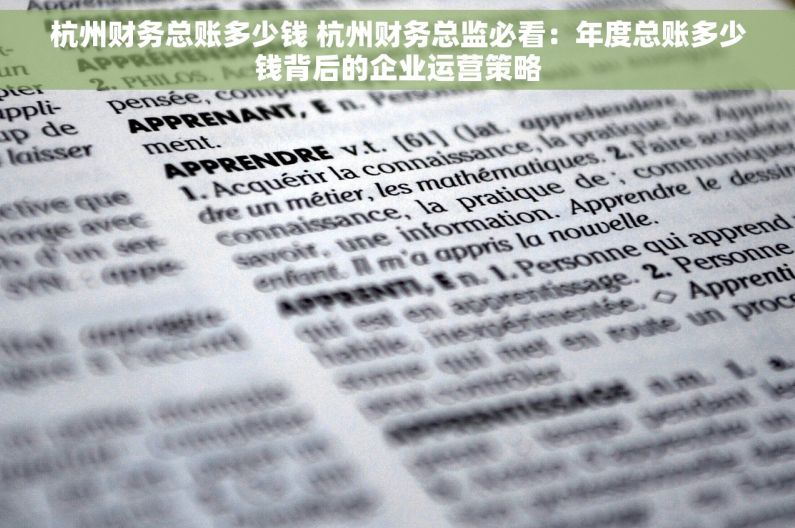 杭州财务总账多少钱 杭州财务总监必看：年度总账多少钱背后的企业运营策略