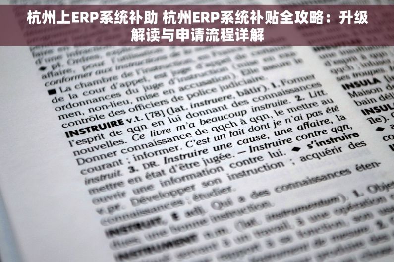 杭州上ERP系统补助 杭州ERP系统补贴全攻略：升级解读与申请流程详解