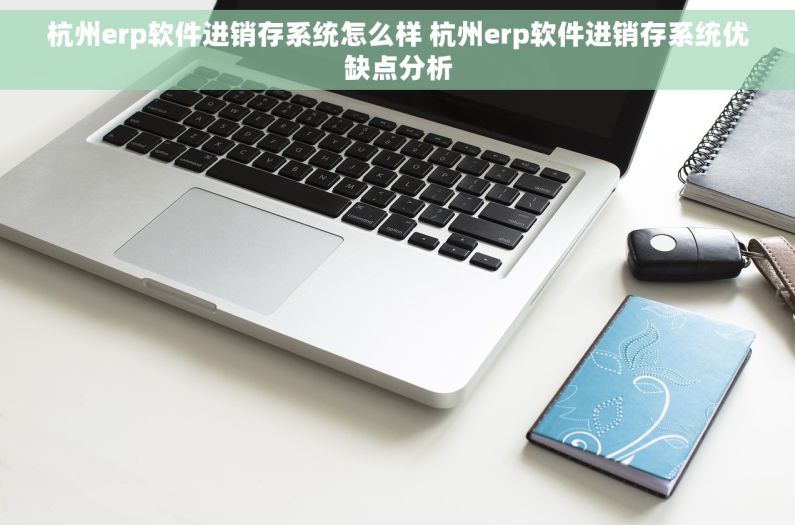 杭州erp软件进销存系统怎么样 杭州erp软件进销存系统优缺点分析