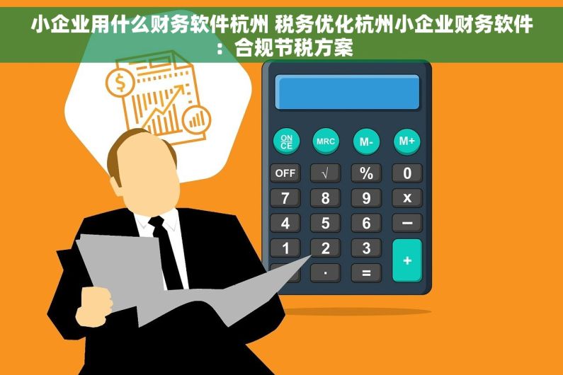 小企业用什么财务软件杭州 税务优化杭州小企业财务软件：合规节税方案