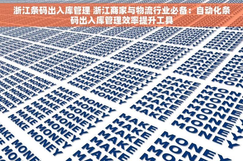 浙江条码出入库管理 浙江商家与物流行业必备：自动化条码出入库管理效率提升工具