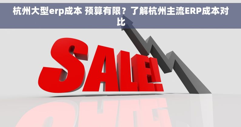 杭州大型erp成本 预算有限？了解杭州主流ERP成本对比
