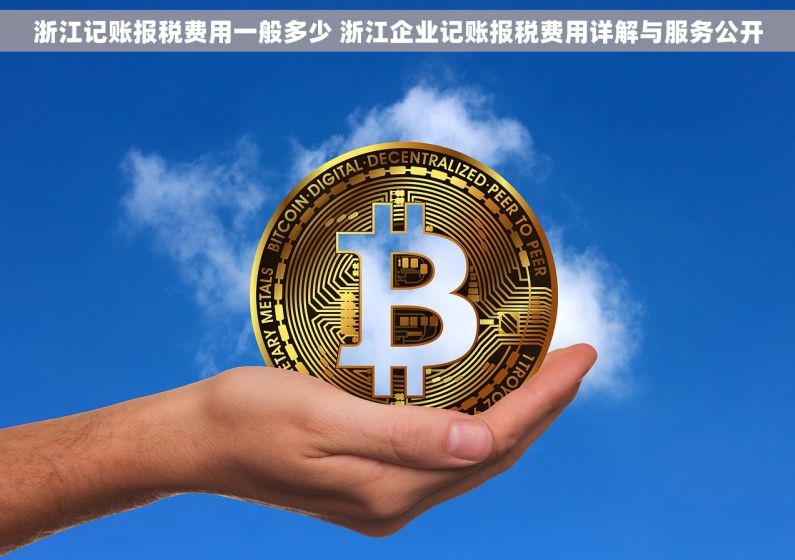 浙江记账报税费用一般多少 浙江企业记账报税费用详解与服务公开