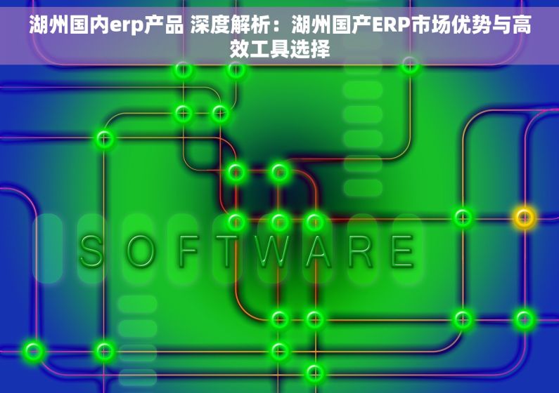 湖州国内erp产品 深度解析：湖州国产ERP市场优势与高效工具选择