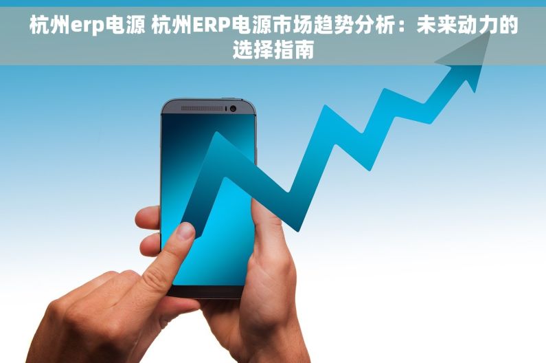 杭州erp电源 杭州ERP电源市场趋势分析：未来动力的选择指南