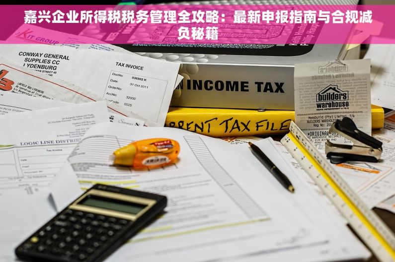 嘉兴企业所得税税务管理全攻略：最新申报指南与合规减负秘籍