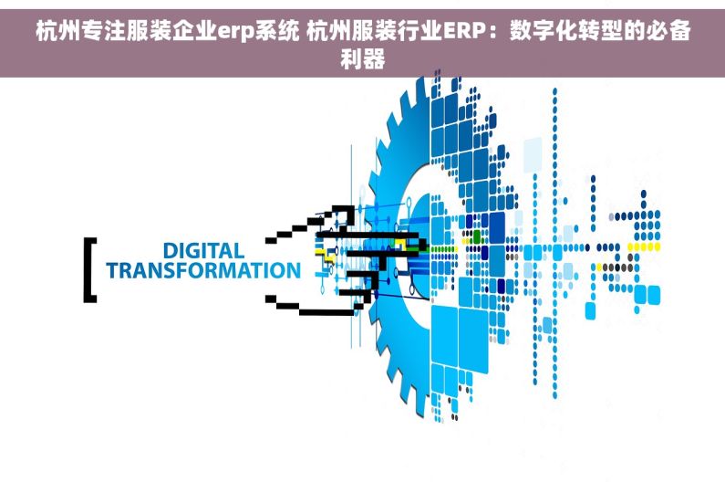 杭州专注服装企业erp系统 杭州服装行业ERP：数字化转型的必备利器