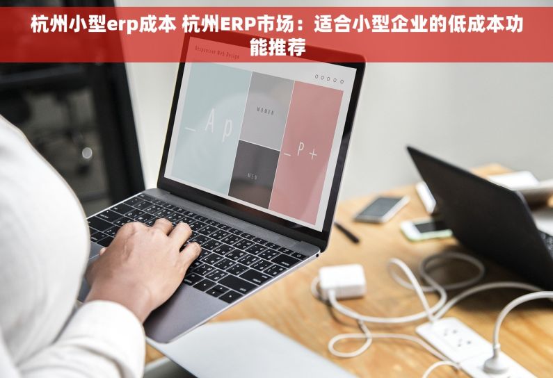 杭州小型erp成本 杭州ERP市场：适合小型企业的低成本功能推荐