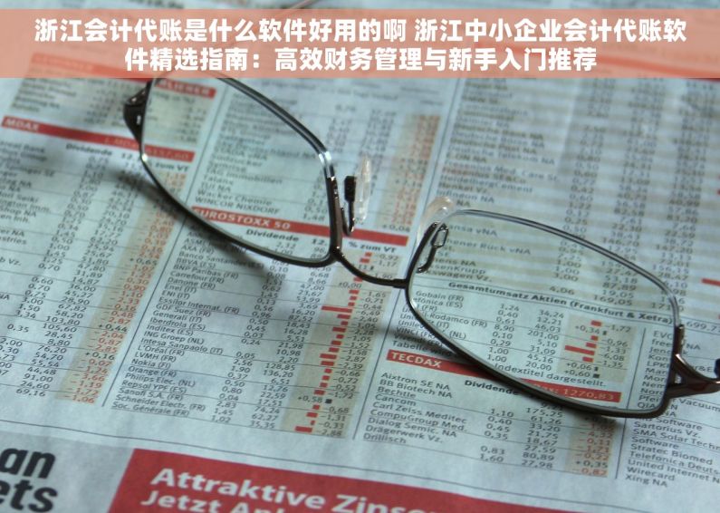 浙江会计代账是什么软件好用的啊 浙江中小企业会计代账软件精选指南：高效财务管理与新手入门推荐