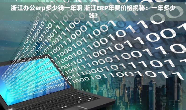 浙江办公erp多少钱一年啊 浙江ERP年费价格揭秘：一年多少钱?