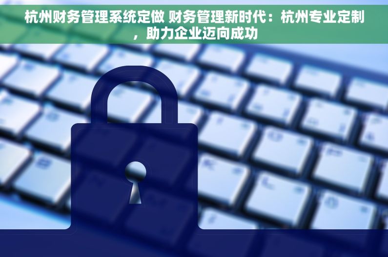 杭州财务管理系统定做 财务管理新时代：杭州专业定制，助力企业迈向成功