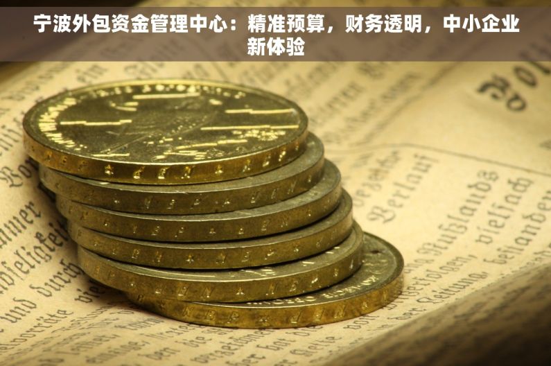 宁波外包资金管理中心：精准预算，财务透明，中小企业新体验