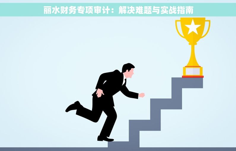 丽水财务专项审计：解决难题与实战指南