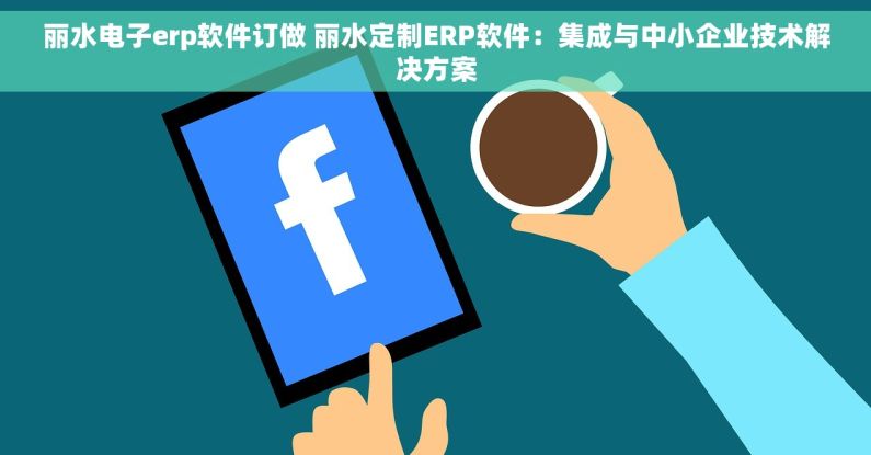 丽水电子erp软件订做 丽水定制ERP软件：集成与中小企业技术解决方案