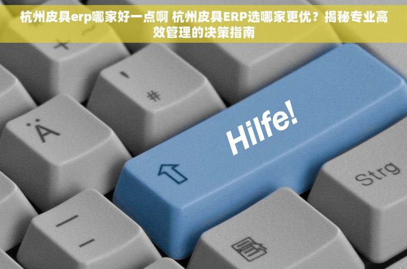杭州皮具erp哪家好一点啊 杭州皮具ERP选哪家更优？揭秘专业高效管理的决策指南