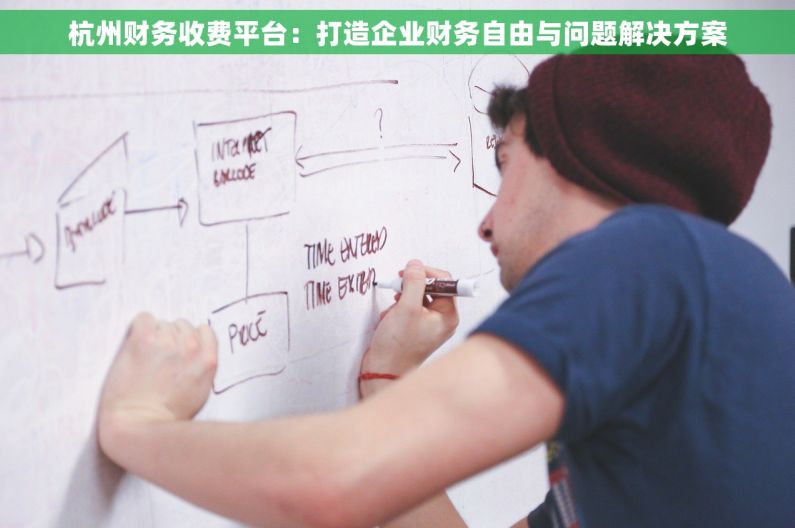 杭州财务收费平台：打造企业财务自由与问题解决方案