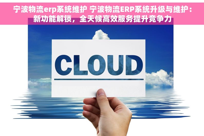 宁波物流erp系统维护 宁波物流ERP系统升级与维护：新功能解锁，全天候高效服务提升竞争力