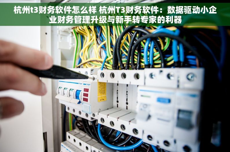 杭州t3财务软件怎么样 杭州T3财务软件：数据驱动小企业财务管理升级与新手转专家的利器