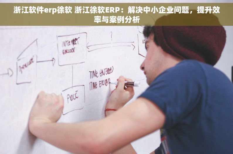 浙江软件erp徐软 浙江徐软ERP：解决中小企业问题，提升效率与案例分析