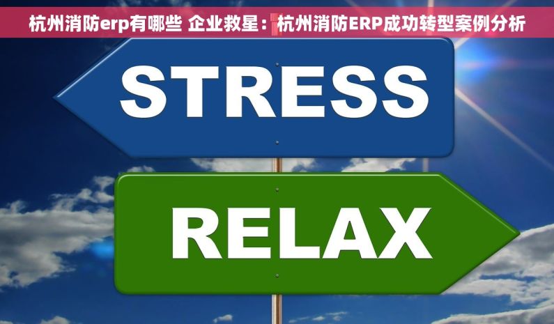 杭州消防erp有哪些 企业救星：杭州消防ERP成功转型案例分析
