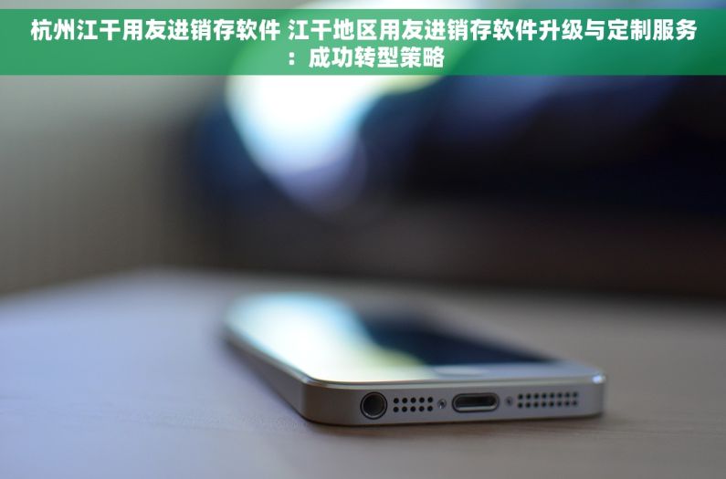 杭州江干用友进销存软件 江干地区用友进销存软件升级与定制服务：成功转型策略