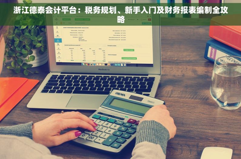 浙江德泰会计平台：税务规划、新手入门及财务报表编制全攻略