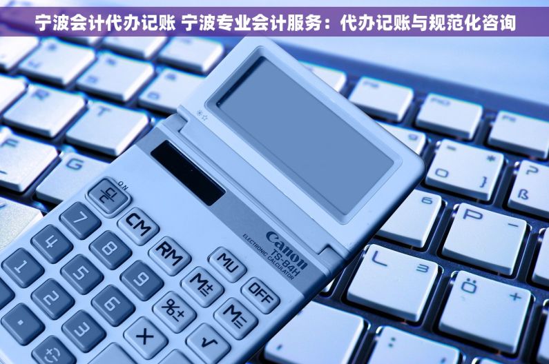 宁波会计代办记账 宁波专业会计服务：代办记账与规范化咨询