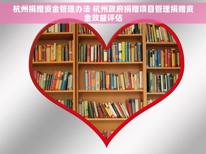 杭州捐赠资金管理办法 杭州政府捐赠项目管理捐赠资金效益评估
