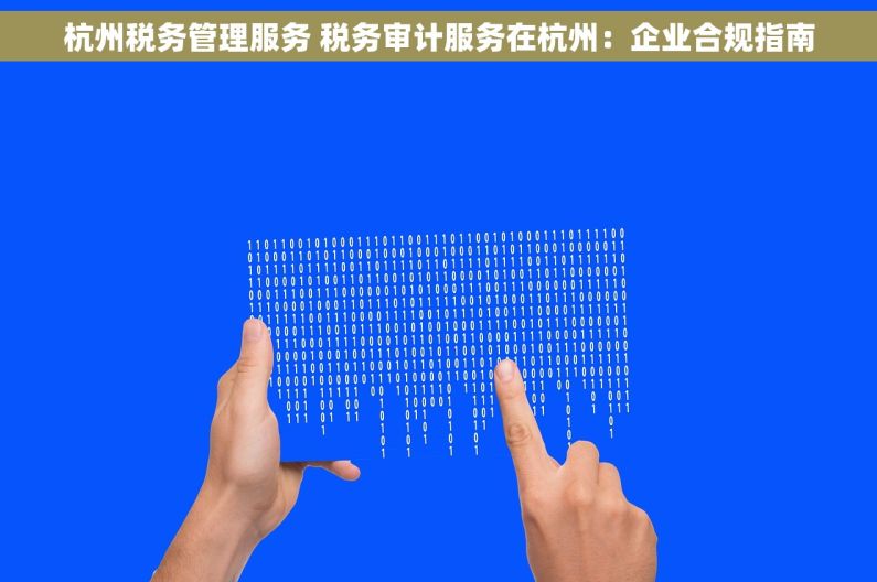 杭州税务管理服务 税务审计服务在杭州：企业合规指南